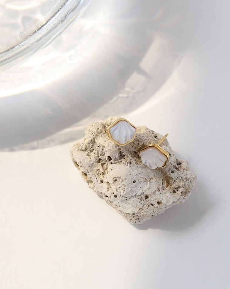 High Lustre Moonstone Shell Earrings