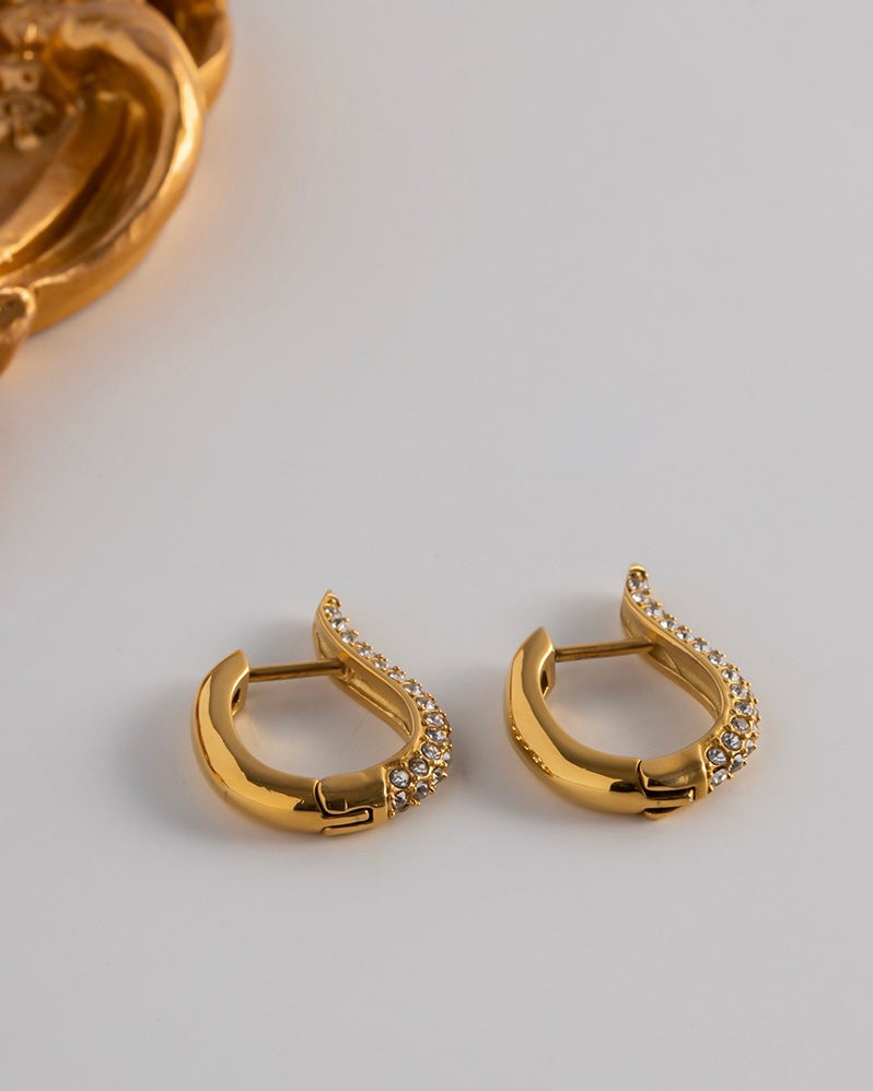 Zircons Gold Plated Earrings